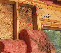 Mold & Mildew prevalent in a traditionally built wood home